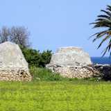 ...in realt� non mancano del tutto neanche a sud del capoluogo: ad esempio li possiamo scorgere nel cosiddetto �parco dei trulli�...